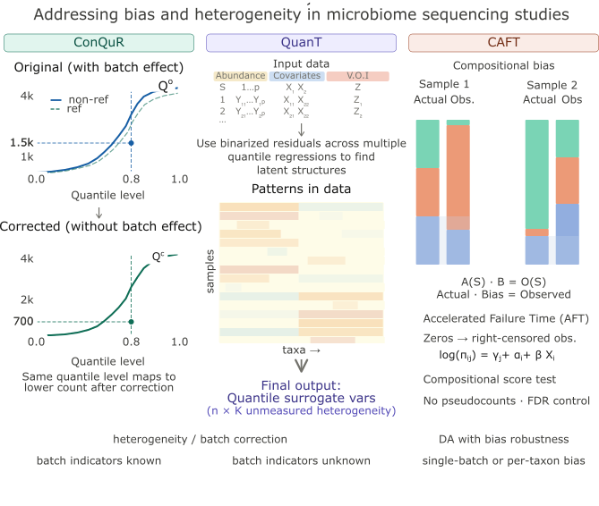 Microbiome bias illustration showing actual versus observed proportions across samples